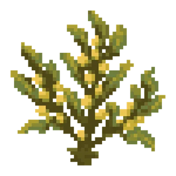 Sargassum Branch — Ocean Wonders patterns