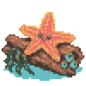 Starfish on Driftwood — Ocean Wonders patterns