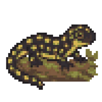 Spotted Salamander — Pet Friends patterns