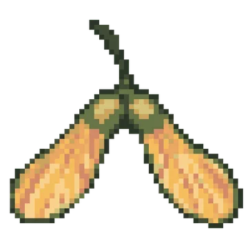 Maple Wing Seeds — Plants & Nature patterns