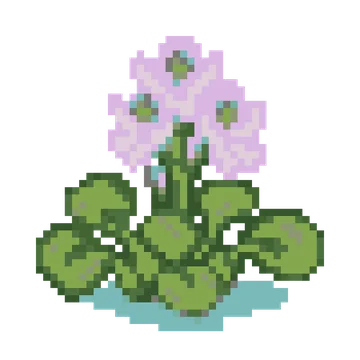 Water Hyacinth — Plants & Nature patterns